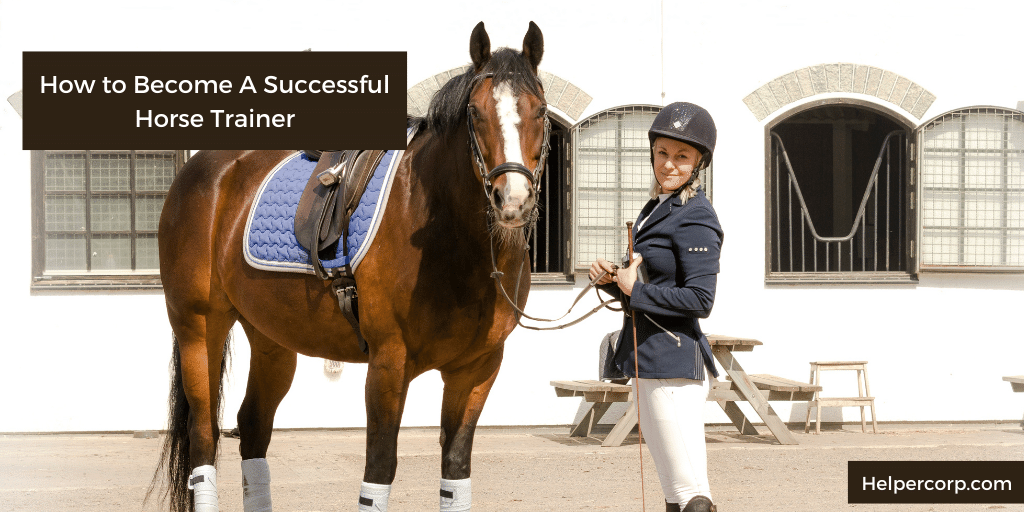 How to Become A Successful Horse Trainer