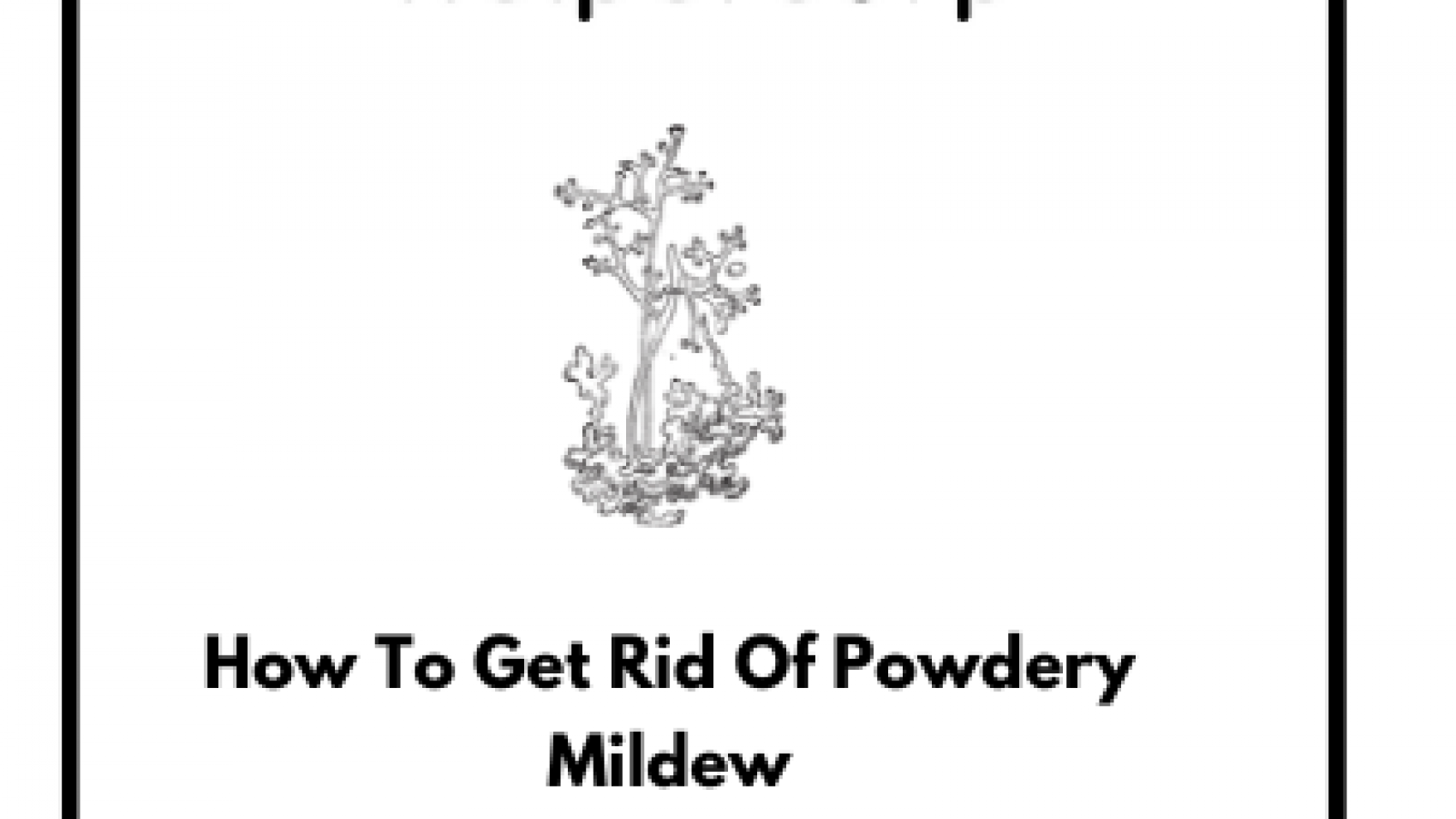 How To Get Rid Of Powdery Mildew