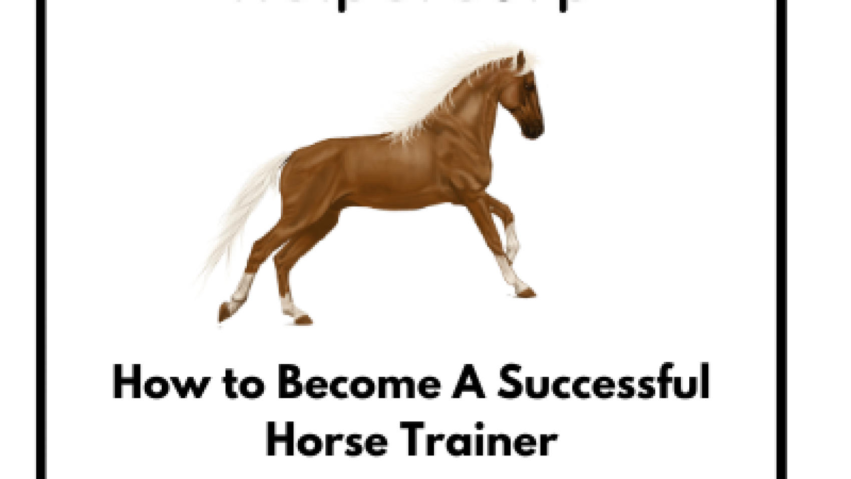 How-to-Become-A-Successful-Horse-Trainer