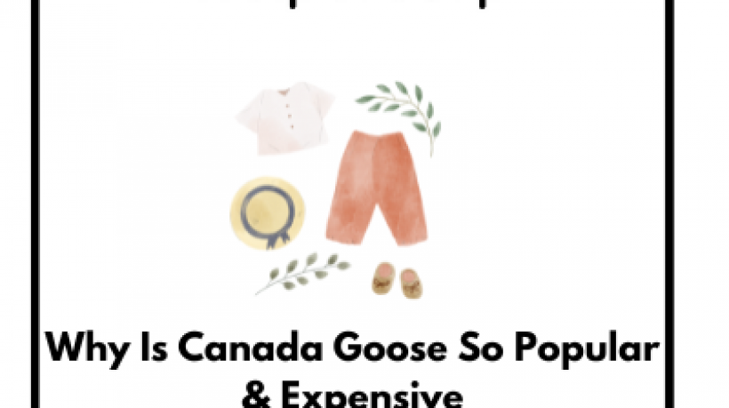 Why Is Canada Goose So Popular & Expensive