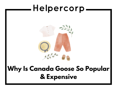 Why Is Canada Goose So Popular & Expensive