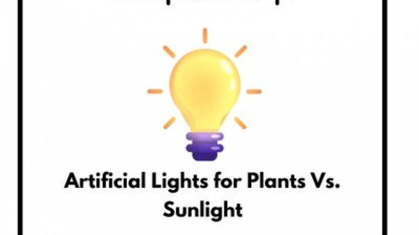 Artificial Lights for Plants Vs. Sunlight