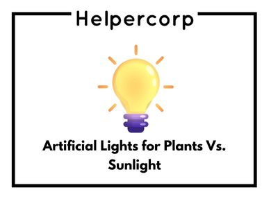 Artificial Lights for Plants Vs. Sunlight