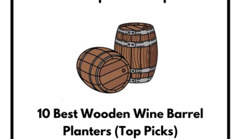10 Best Wooden Wine Barrel Planters (Top Picks)