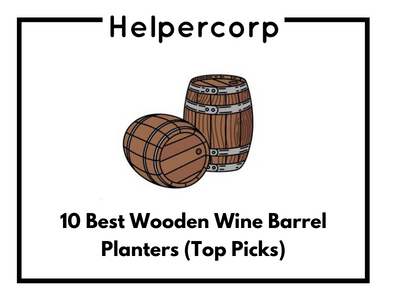 10 Best Wooden Wine Barrel Planters (Top Picks)